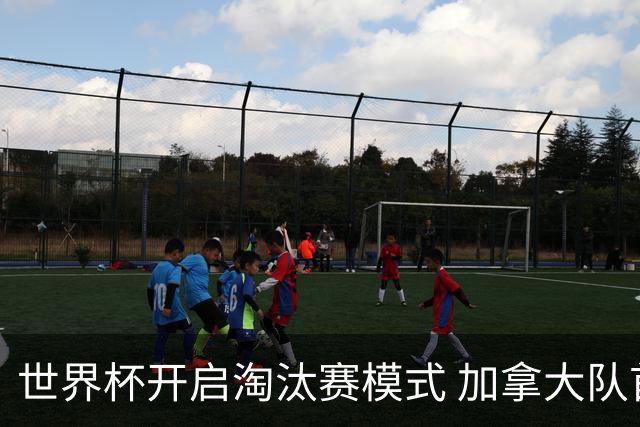 世界杯开启淘汰赛模式 加拿大队首进赛事16强