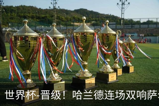 世界杯-晋级！哈兰德连场双响萨尔2球 挪威3-2塞内加尔