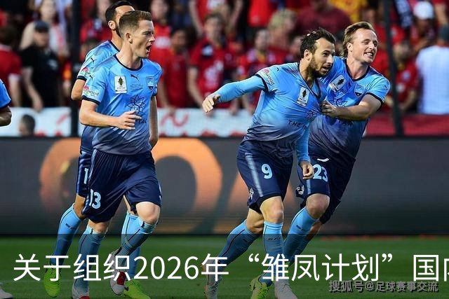 关于组织2026年“雏凤计划”国内选拔总营的通知