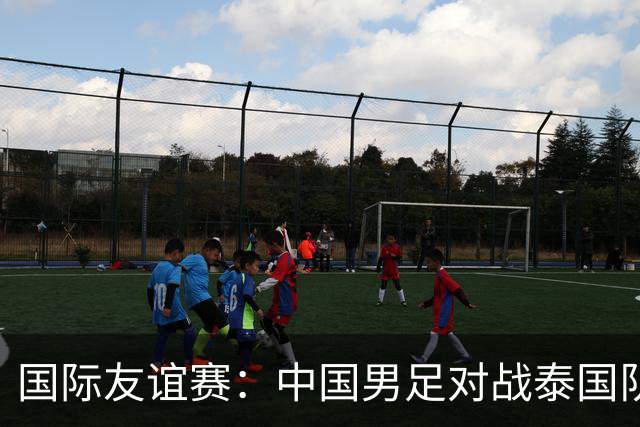 国际友谊赛：中国男足对战泰国队，邵佳一首秀主场，泰国大半主力缺席，比分预测