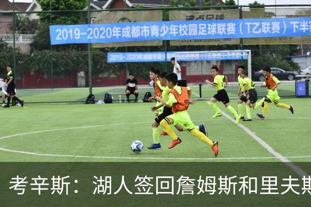 考辛斯：湖人签回詹姆斯和里夫斯只会变得更差 西部各队都在变强