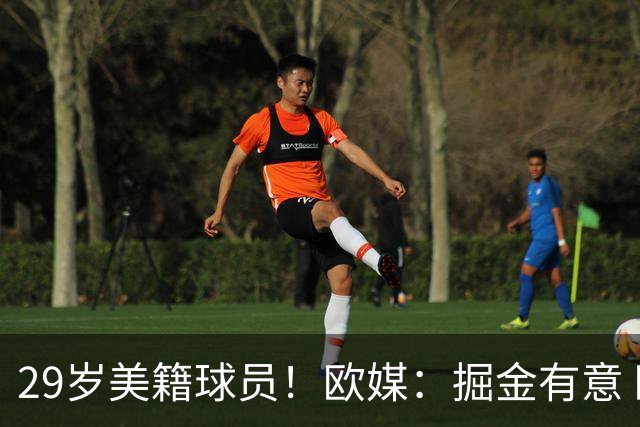 29岁美籍球员！欧媒：掘金有意 欧篮联DPOY阿尔法·迪亚洛